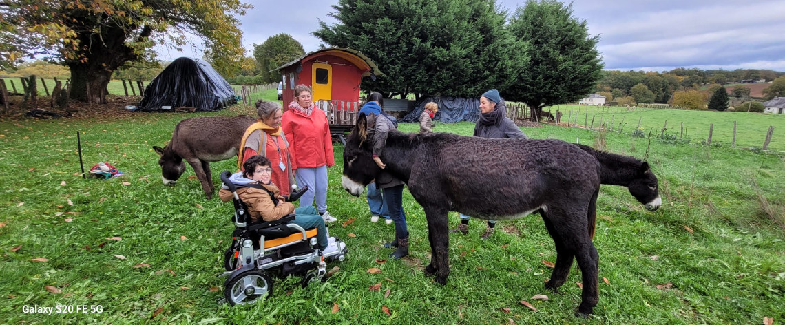 Médiation animale en séjour aidants/aidés
